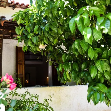 Amalia 2* Koukounaries