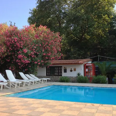 Hotel apartamentowy Amalia 2*