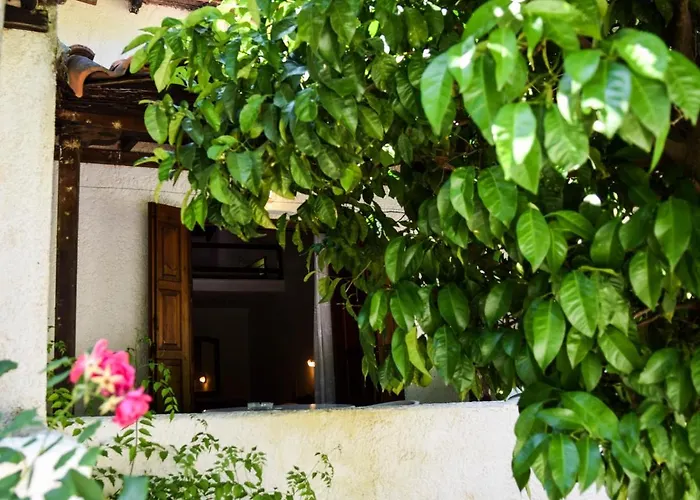 Amalia 2* كوكونارييس