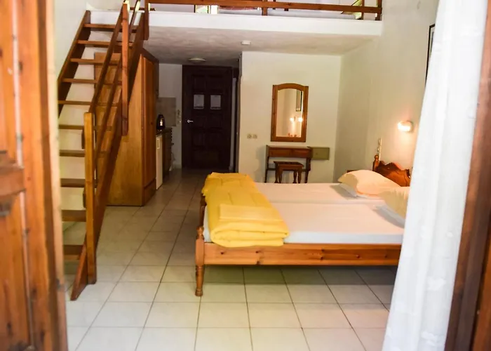 Amalia كوكونارييس